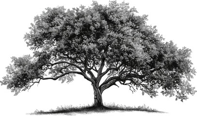 A linear vector of a detailed tree.