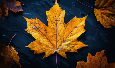 Wall Mural - A linear vector of a maple leaf.