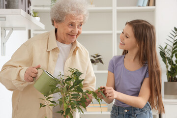 Wall Mural - Little girl with her grandmother watering houseplant at home