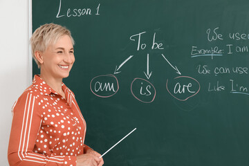 Canvas Print - Female English teacher conducting grammar lesson in classroom