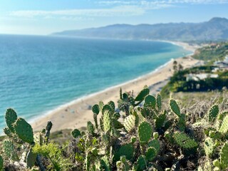 Wall Mural - view from the cliff overlooking beach