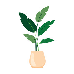 Poster - Green potted plant in simple cartoon style Vector