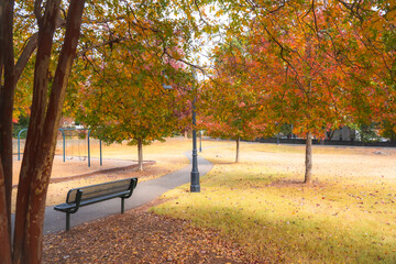 Autumn has arrived in the US. The various leaf colors represent the changing circle from summer to fall. Steps for changing begin with green, yellow, and red color of leaves. Romantic feelings, moment