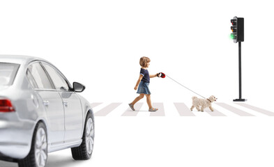 Poster - Full length profile shot of a little girl rossing a street with a white maltese poodle dog