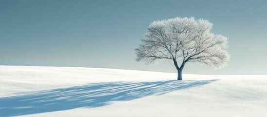 Canvas Print - Solitary Tree in Snowy Field