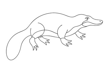 Wall Mural - Single Line Drawing of a Platypus - Minimalist Vector Art Illustration