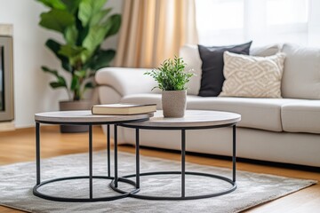 A living room with a white couch and two coffee tables. One of the tables has a potted plant on it and a book. The room has a cozy and inviting atmosphere