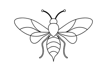 Wall Mural - Elegant Bee  Line Art Vector Illustration for Minimalist Designs