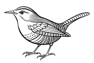 Wall Mural - Elegant Line Drawing of a Wren Minimalist Vector Art Illustration