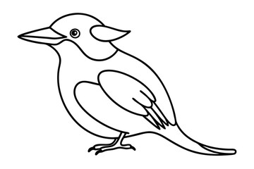 Wall Mural - Line Drawing of a Kookaburra | Detailed Vector Art Illustration