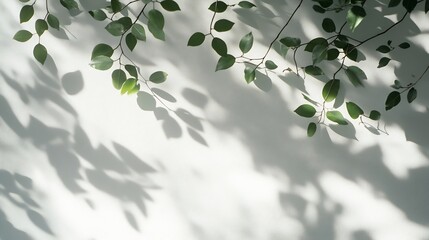 Aufkleber - Beautiful shadow from a window and tree leaves on a white wall Simple minimalistic natural background for presentation : Generative AI