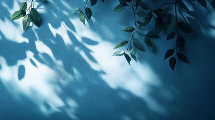 Poster - Minimalistic abstract gentle light blue background for product presentation with light and intricate shadow from tree branches on wall : Generative AI