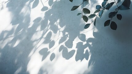 Poster - Beautiful shadow from a window and tree leaves on a white wall Simple minimalistic natural background for presentation : Generative AI