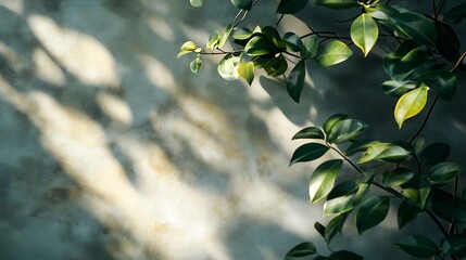 Aufkleber - Shadow and sunshine with light of leaves reflection on wall Jungle gray darkness leaf plants shadows shade and lighting on wall background Natural shadows overlay effect foliage mockup : Generative AI