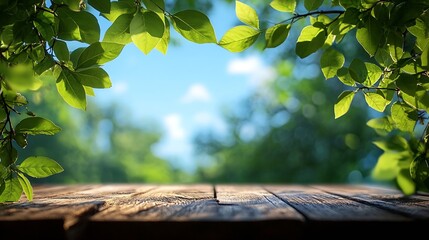 Leinwandbilder - Empty background of summer landscape Wooden table top green leaves closeup on a background of blue sky : Generative AI