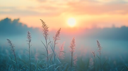beautiful foggy sunrise in english countryside with soft pastel sky and calm feeling : generative ai