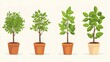 © Thanthara - reforestation set of young trees trunks in pots, afforestation set of green plants in flowerpots, gardening and botany concept