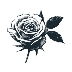 Wall Mural - The white rose. Black white vector logo and icon illustration.