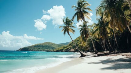 A tropical beach with palm trees swaying in the wind, and turquoise water