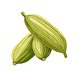 © OPP-786 - Fresh green cardamom pods stacked together, showcasing their natural beauty and vibrant color, ideal for culinary uses. isolated on a white background, transparent background.