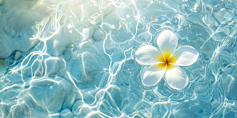 Wall Mural - A beautiful white frangipani flower floating on the water, generative AI