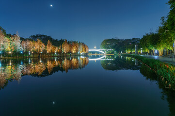 Wall Mural - Night view of red foliage of larch by the lake in City Park