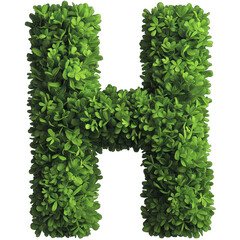 Green leafy letter H on white background, eco-friendly concept. Perfect for nature-inspired projects, posters, and typography designs.