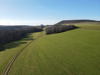 View from above of a landscape with grass, trees and a dirt road on a sunny day in spring 