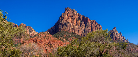 Wall Mural - Scenic Red Sandstone rock formations at Zion national park.