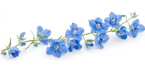 Wall Mural - Blue flowers on white surface