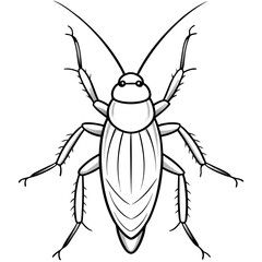 Wall Mural - vector illustration of cockroach