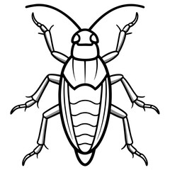 Wall Mural - vector illustration of cockroach