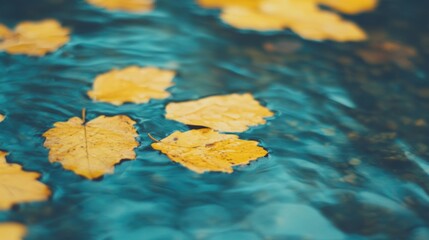 Wall Mural - Golden leaves drift peacefully on still water, reflecting the beauty of autumn in a tranquil landscape