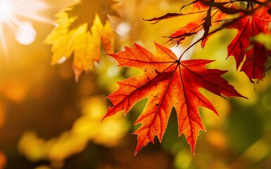 Autumn Leaves and Warm Light Thanksgiving Background for Posters