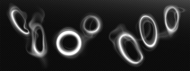 Wall Mural - smoke circle cloud vector. realistic hookah ring isolated. cigarette mist effect 3d texture. creativ