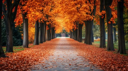 Wall Mural - a picturesque path lined with towering trees, their branches adorned with vibrant autumn leaves, cre
