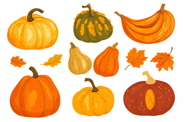 Wall Mural - set of simple autumn pumpkin. hand drawn pumpkin squash in warm natural fall colors isolated on whit