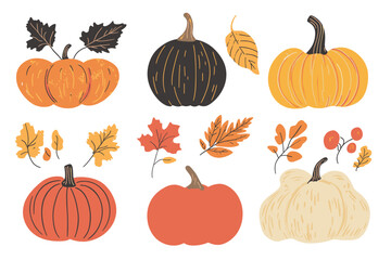 Wall Mural - set of simple autumn pumpkin. hand drawn pumpkin squash in warm natural fall colors isolated on whit