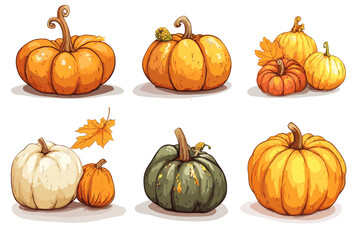 Wall Mural - set of simple autumn pumpkin. hand drawn pumpkin squash in warm natural fall colors isolated on whit