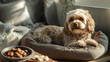 © Itsmagic - A Cozy RetreatFluffy Dog Relaxing on Plush Bed Surrounded by Gourmet Treats in a Warmly Lit Home Environment
