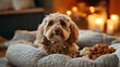 © Itsmagic - A Cozy RetreatFluffy Dog Relaxing on Plush Bed Surrounded by Premium Treats in a Warm Atmosphere