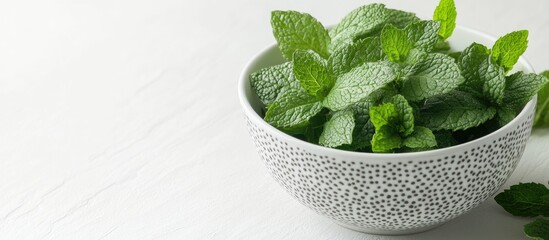 Fototapete - Fresh mint leaves close up in a porcelain dish with a handle for chopsticks on a white background. with copy space image. Place for adding text or design