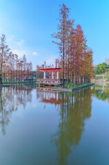 Wall Mural - Grove of Larch in Qiandeng Lake Park, Foshan