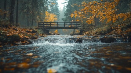 Poster - Autumn Forest Stream with Wooden Bridge