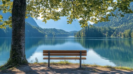 Wall Mural - Serene Lakeside Bench View