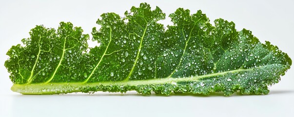 a kale leaf with olive oil drizzled, gourmet presentation, shiny and fresh, isolated on white background