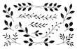 © Northern Owl - Black and white floral elements