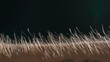 © kinomaster - Macro shot of Hair Standing on End Against a Dark Background