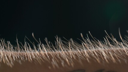 Macro shot of Hair Standing on End Against a Dark Background