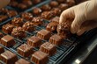 © talkative.studio - Gloved Hand Selecting Chocolate Candies from a Tray